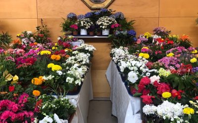 Ofrenda floral a la Mater