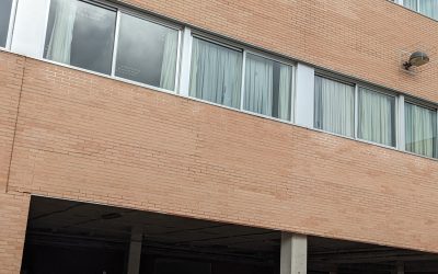 «LA CATEDRAL DE LA CREACIÓN». PRIMER TRIMESTRE.